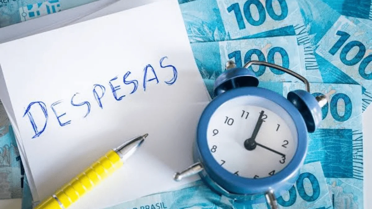 despesas